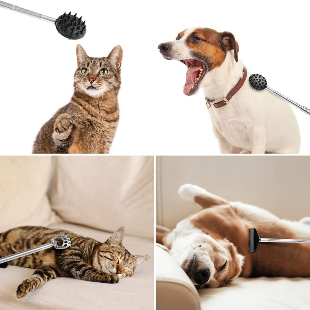 Telescoping Back Scratcher